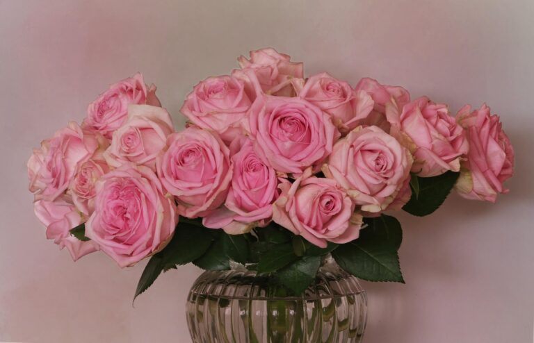 Mai innaffiare le rose così: il trucco per farle fiorire più a lungo